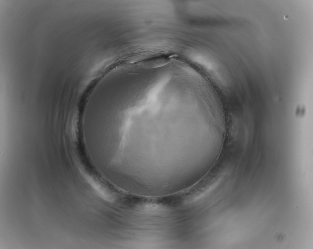X0000095120590200712071242