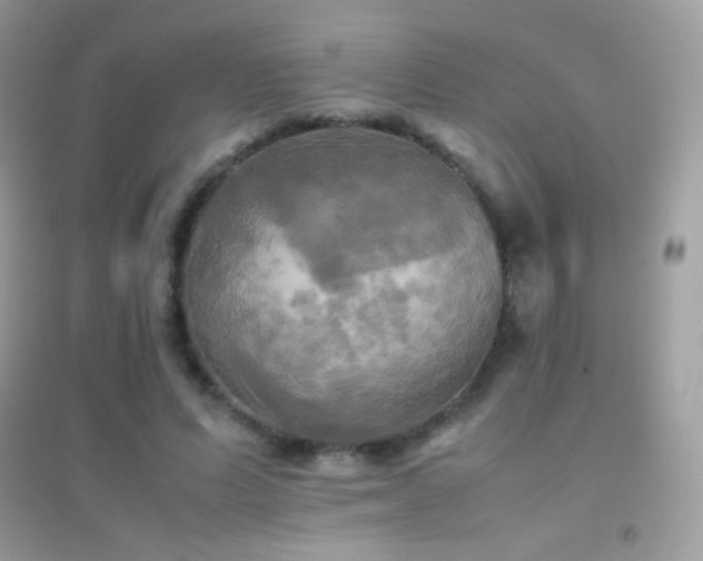 X0000095120591200712071242