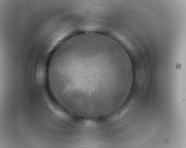 X0000095120592200712071242
