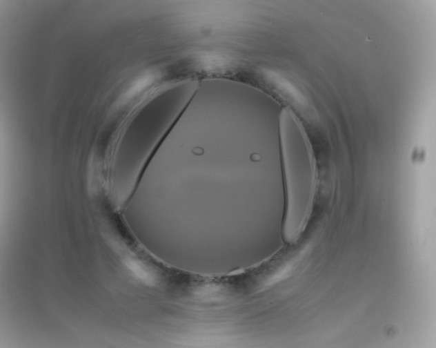 X0000095120593200712071242