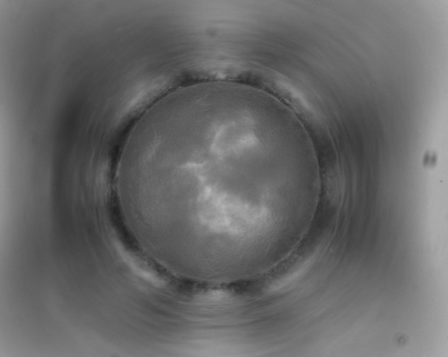 X0000095120594200712071242