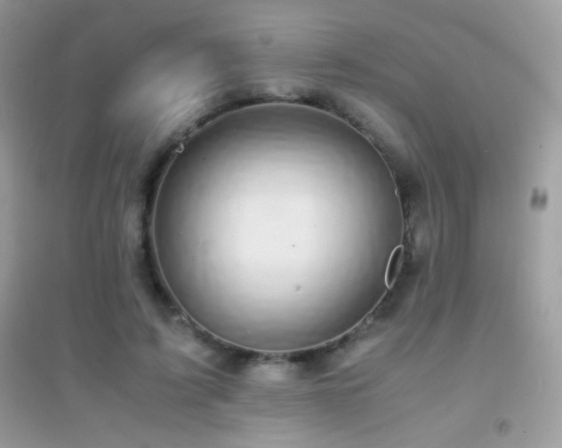 X0000095120595200712071242