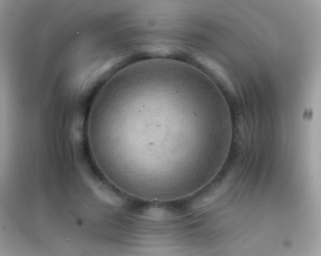 X0000095120596200712071242