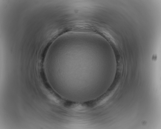 X0000095120597200712071242