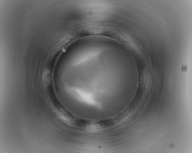 X0000095120598200712071242