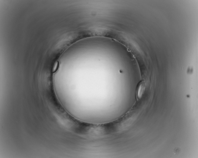 X0000095120599200712071242