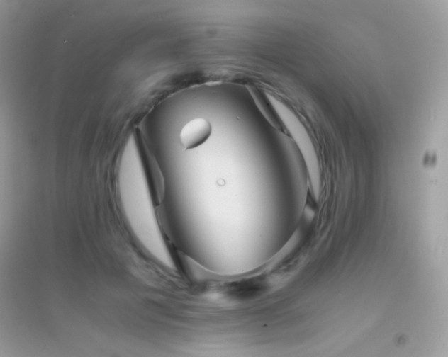 X0000095120601200712071242