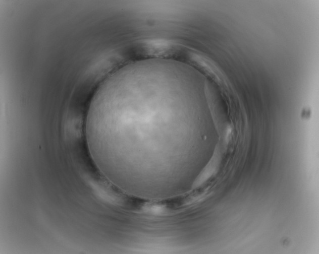 X0000095120602200712071242
