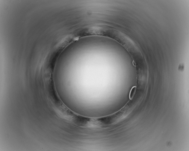 X0000095120603200712071242
