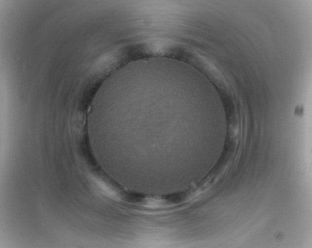 X0000095120605200712071242