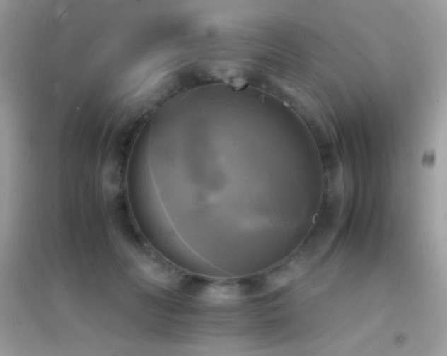 X0000095120606200712071241