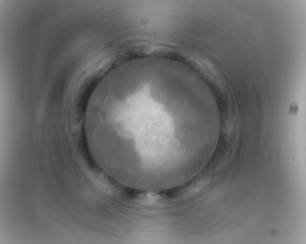 X0000095120607200712071241