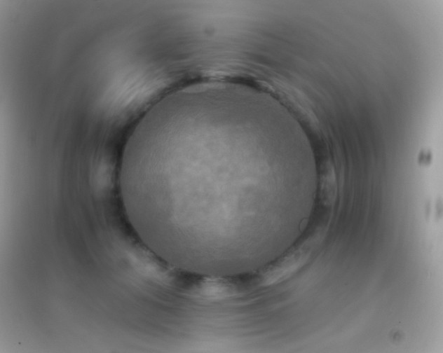 X0000095120608200712071241