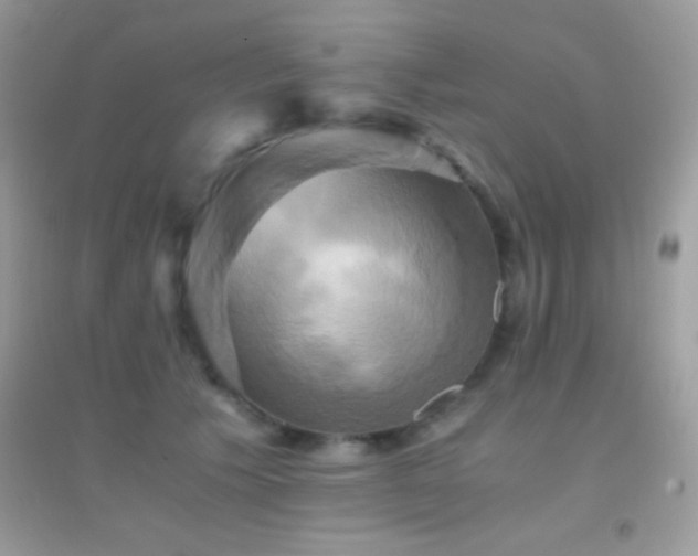 X0000095120609200712071241