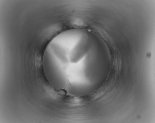 X0000095120610200712071241
