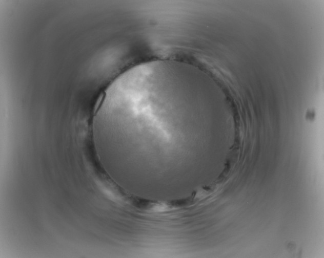 X0000095120611200712071241
