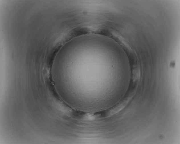 X0000095120613200712071241