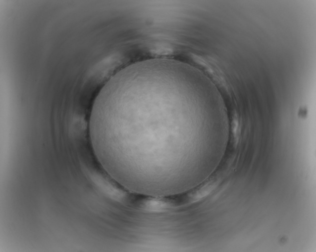 X0000095120614200712071241