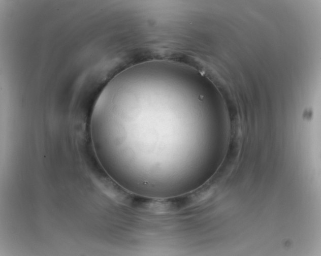 X0000095120615200712071241