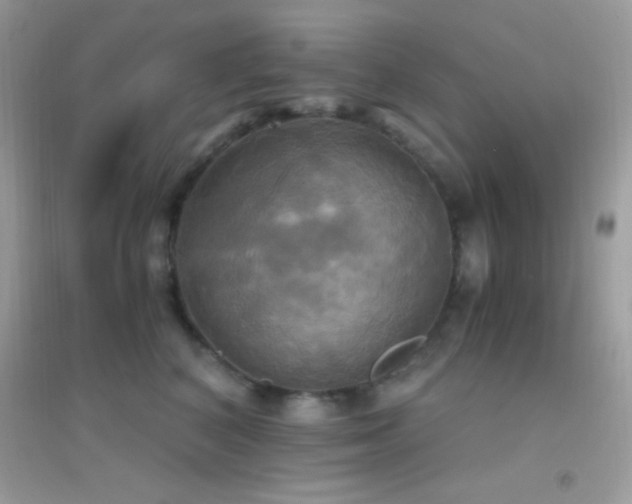 X0000095120616200712071241