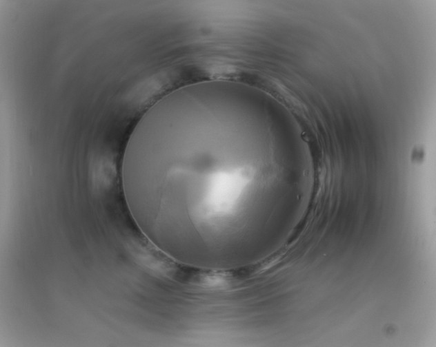X0000095120618200712071241