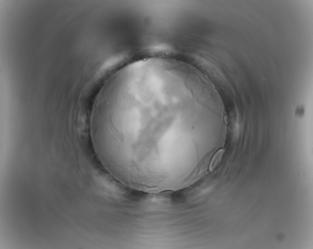 X0000095120619200712071241