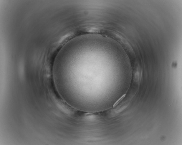 X0000095120620200712071241