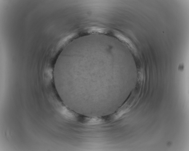 X0000095120621200712071241