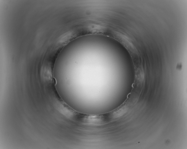 X0000095120622200712071241