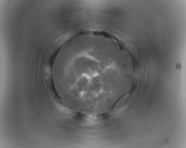 X0000095120623200712071241