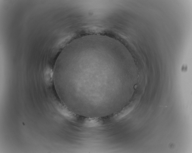 X0000095120624200712071241