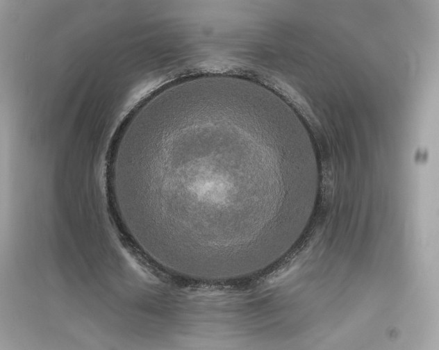 X0000095120626200712071240