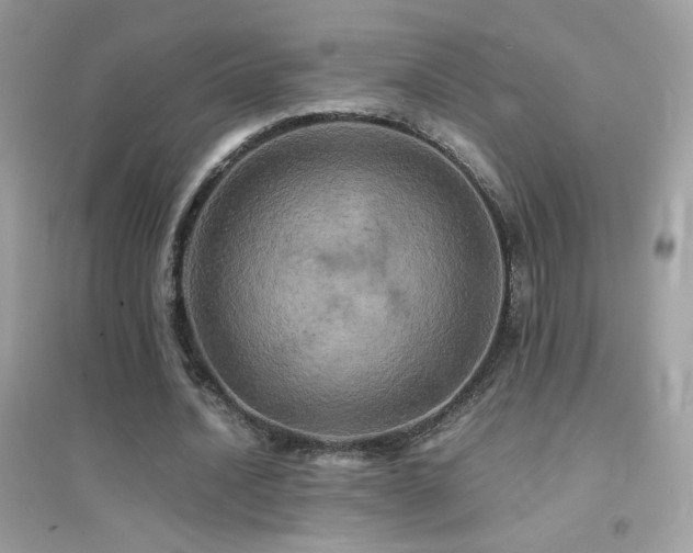 X0000095120628200712071240