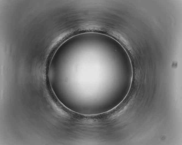X0000095120629200712071240