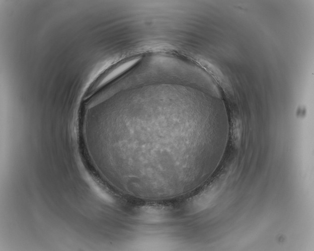 X0000095120630200712071240