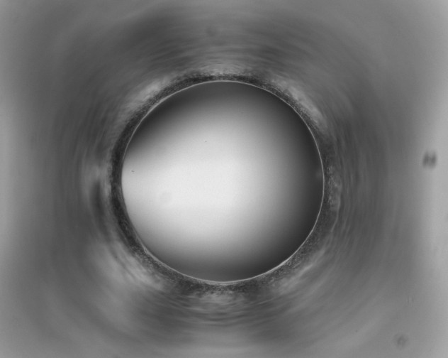 X0000095120631200712071240