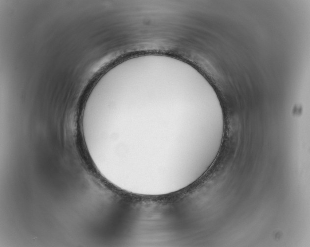 X0000095120632200712071241