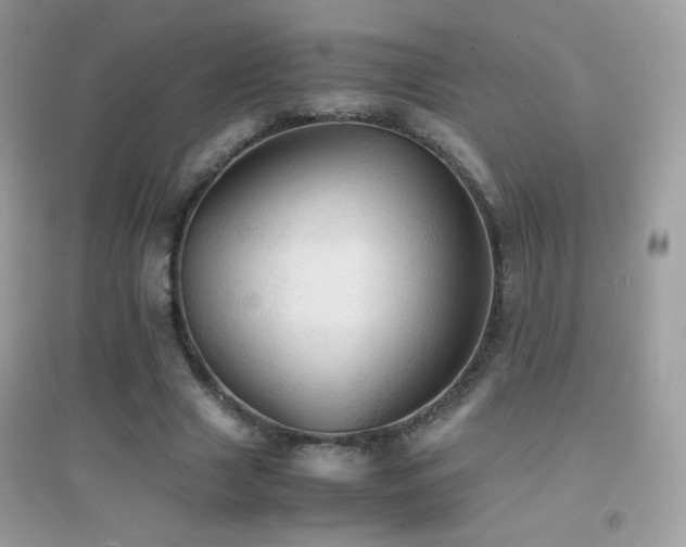 X0000095120633200712071241
