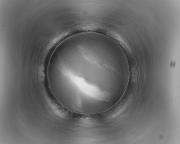 X0000095120634200712071241