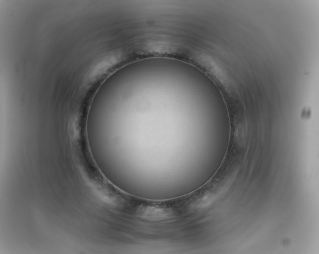 X0000095120635200712071241
