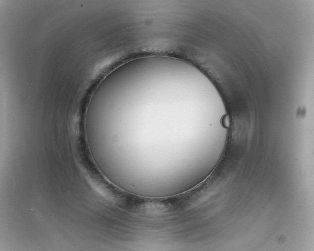 X0000095120636200712071241
