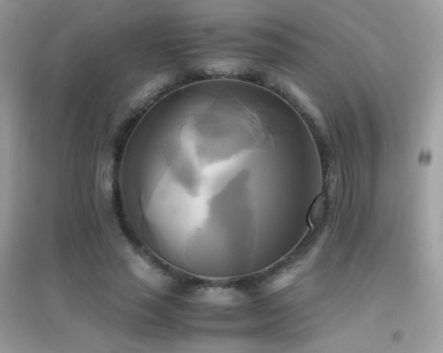 X0000095120637200712071241