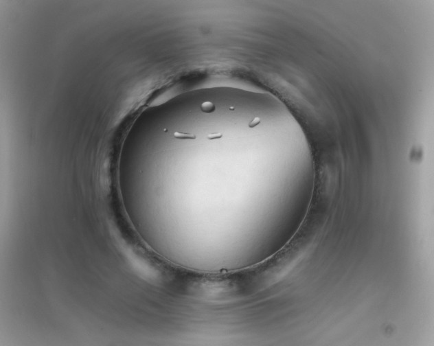 X0000095120638200712071241