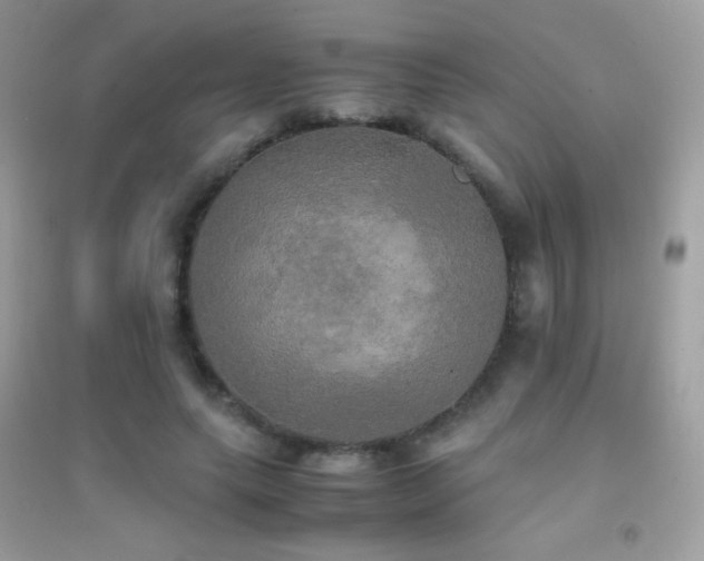 X0000095120639200712071241