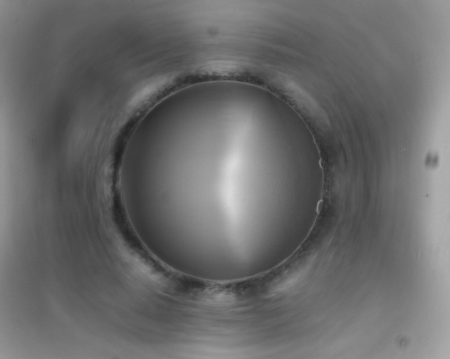 X0000095120640200712071241