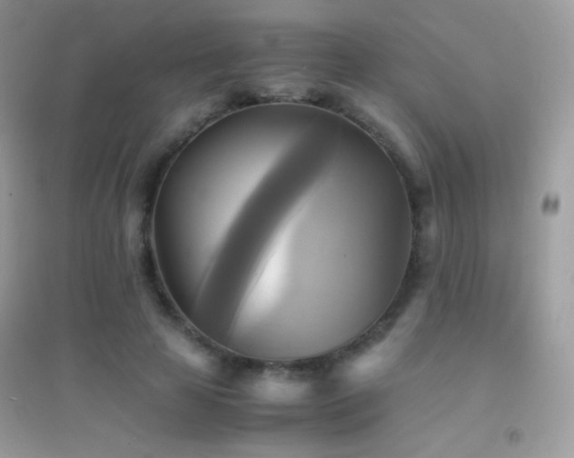 X0000095120641200712071241