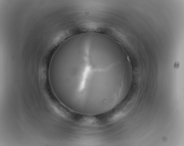 X0000095120642200712071241