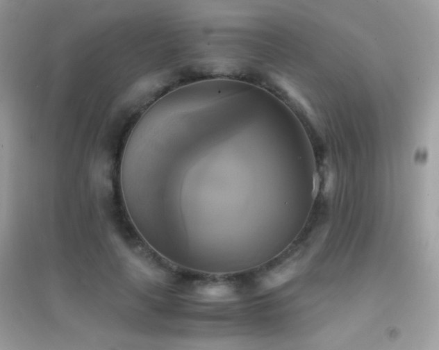 X0000095120643200712071241