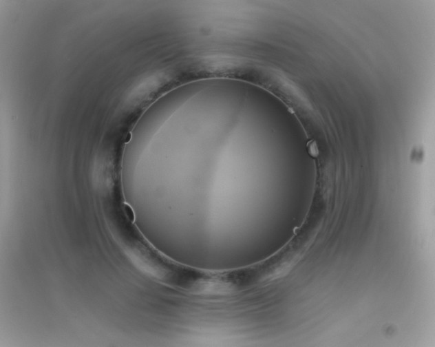 X0000095120644200712071241