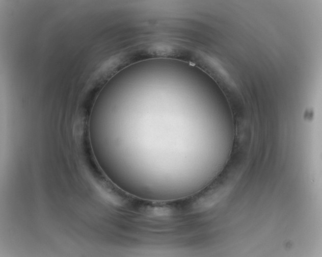 X0000095120645200712071241